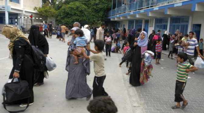 Gaza: UNOCHA Emergency Situation Report 29 July