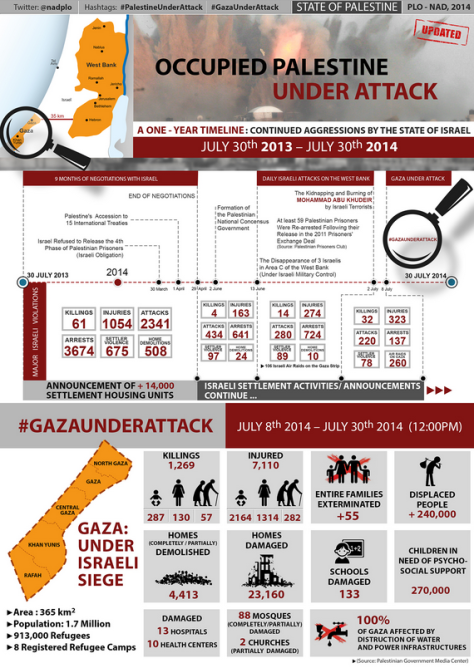 1-year timeline 30 July 2013- 2014 Palestine UnderAttack