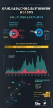 Euro-Mid infographic casualties and fatalities